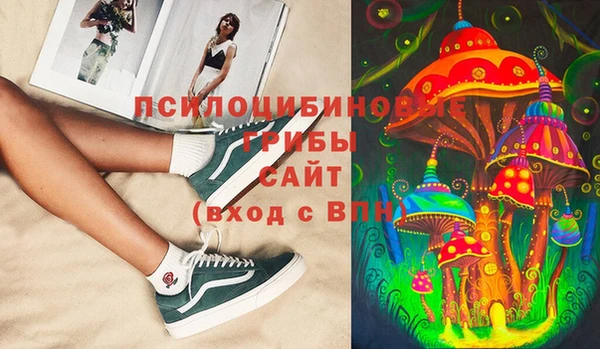 стафф Пересвет