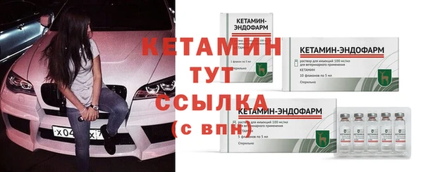 хмурый Покров