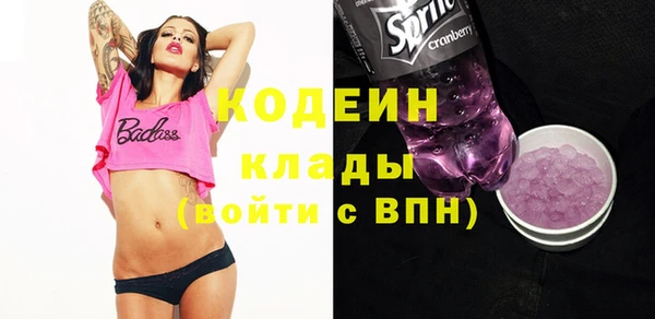 хмурый Покров