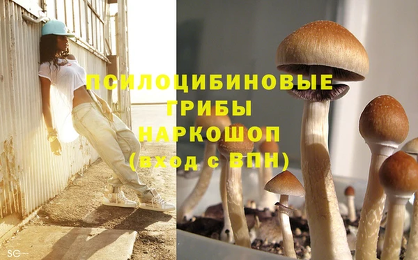 молекула духа Покачи