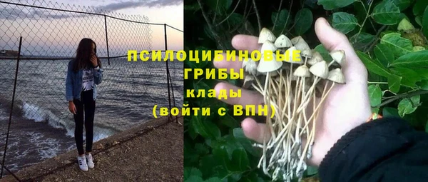молекула духа Покачи